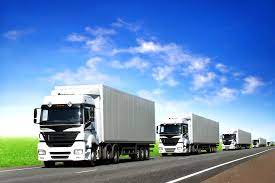 Road Transport - Bus